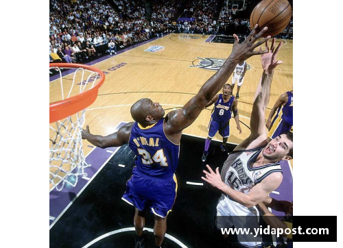 西部王者：NBA西部联盟的统治者