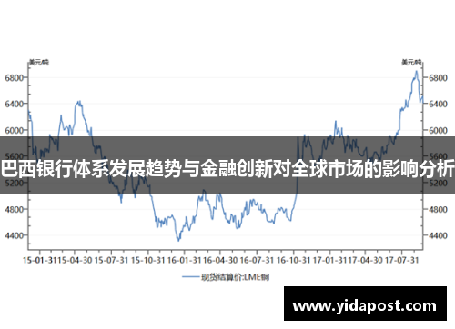 巴西银行体系发展趋势与金融创新对全球市场的影响分析