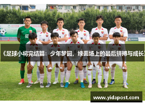 《足球小将完结篇：少年梦圆，绿茵场上的最后拼搏与成长》