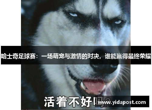 哈士奇足球赛：一场萌宠与激情的对决，谁能赢得最终荣耀