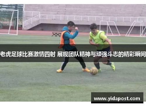 老虎足球比赛激情四射 展现团队精神与顽强斗志的精彩瞬间