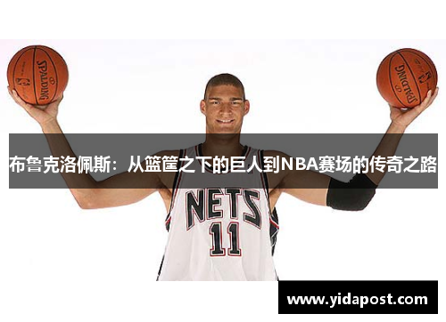布鲁克洛佩斯：从篮筐之下的巨人到NBA赛场的传奇之路