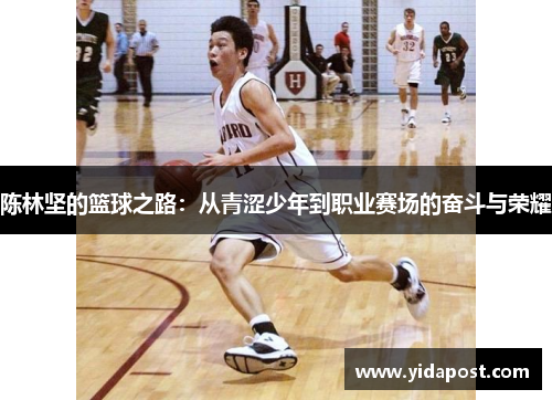 陈林坚的篮球之路：从青涩少年到职业赛场的奋斗与荣耀